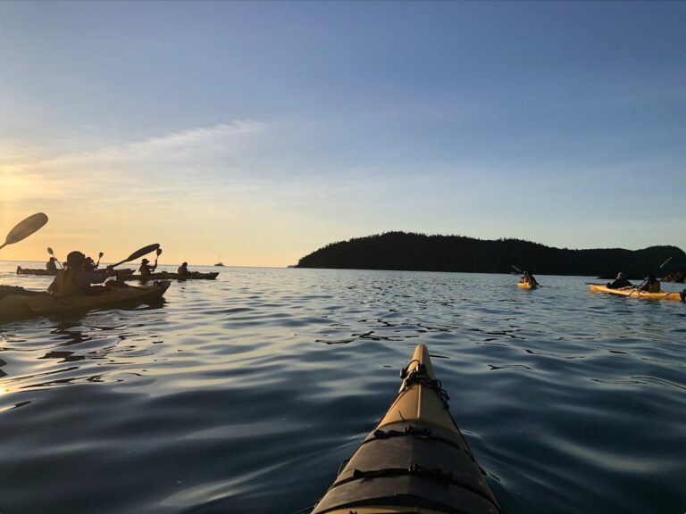 Gold Duke of Ed: sea kayaking adventure in the Whitsundays featured image